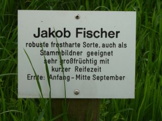  Hinweisschild Jakob Fischer 
