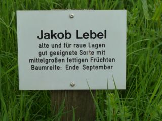  Hinweisschild Jakob Lebel 