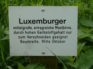  Hinweisschild Luxemburger 