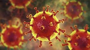 Aktuelle Zusammenstellung der Informationen zum Coronavirus